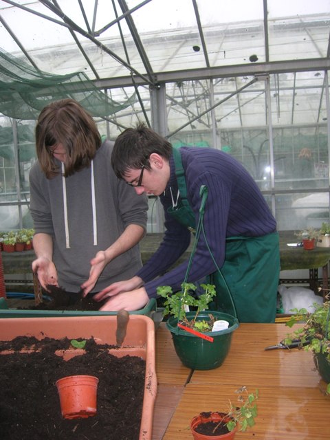 learning horticultural skills