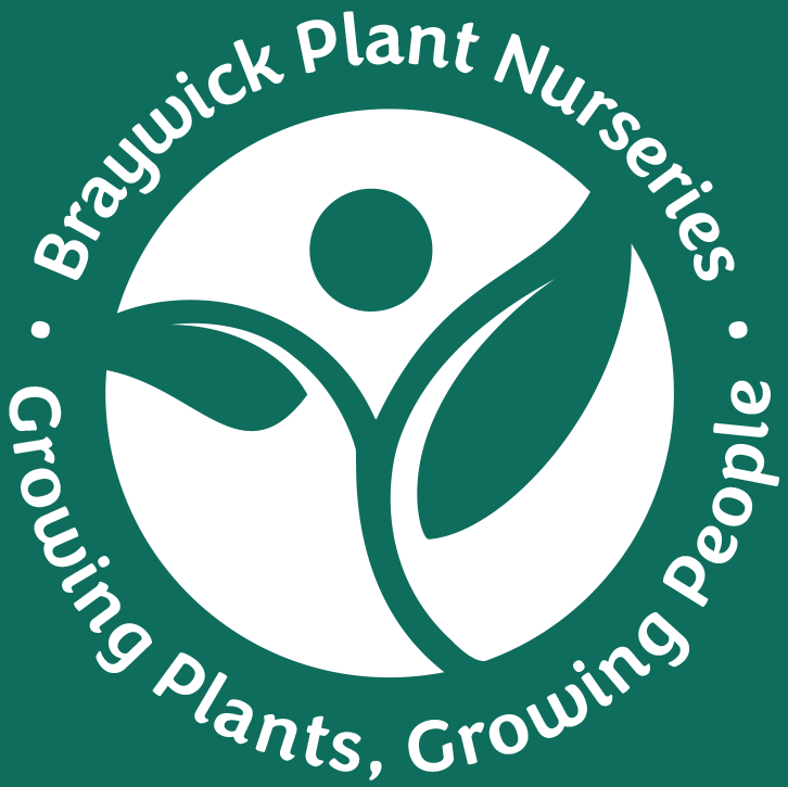 Braywick Plant Nurseries
